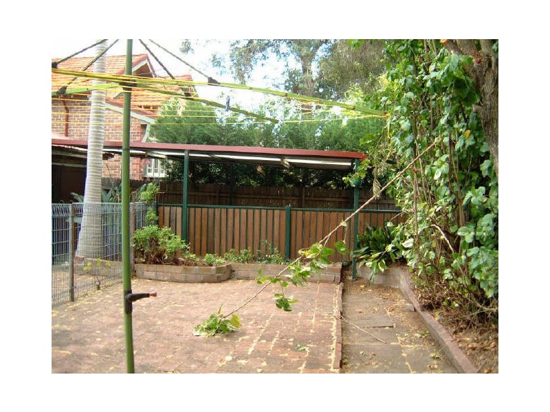 41 Waratah Street, Haberfield NSW 2045