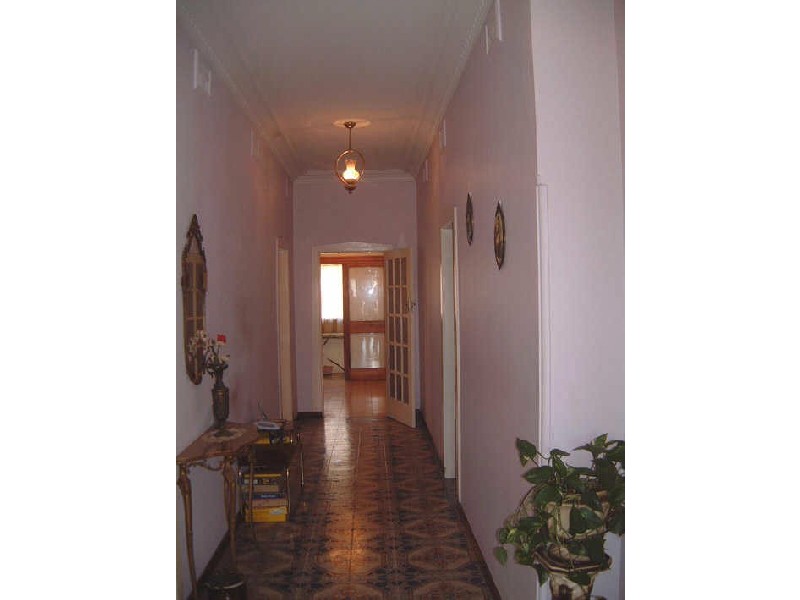 31 Northcote Street, Haberfield NSW 2045