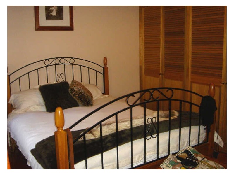 53 Ormond Street, Ashfield NSW 2131