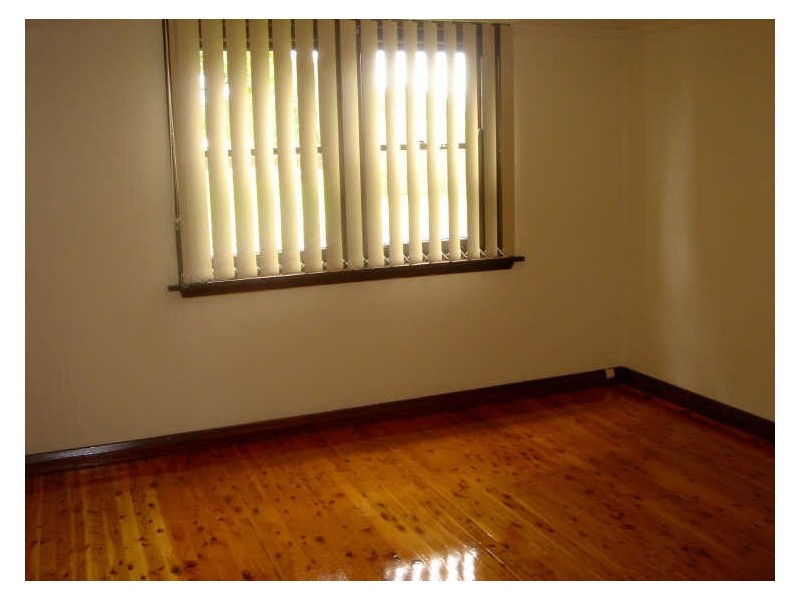 246 Hawthorne Parade, Haberfield NSW 2045