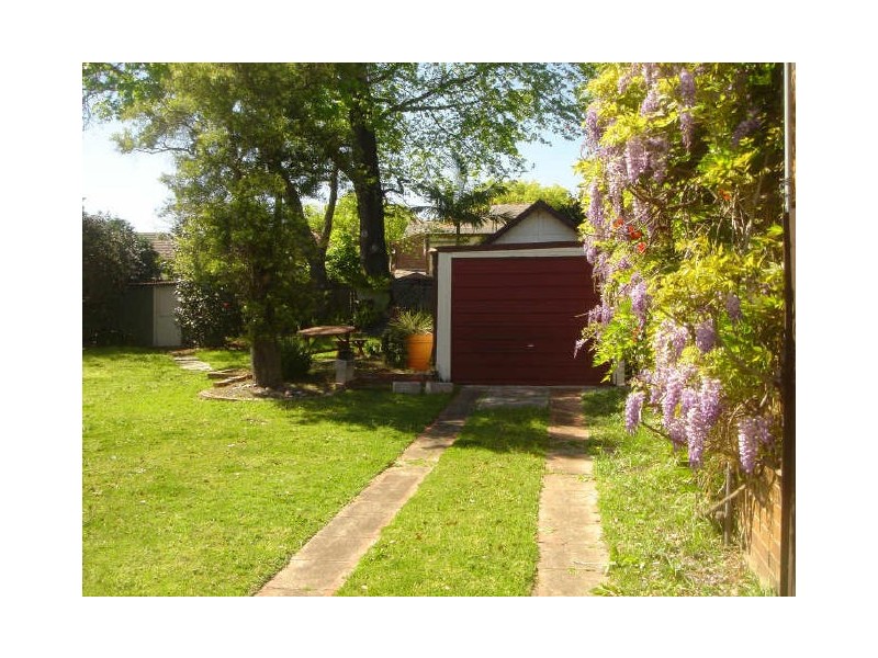 61 Boomerang Street, Haberfield NSW 2045