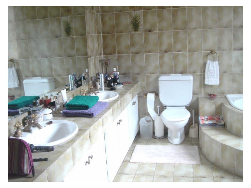 14 Ramsay Street, Haberfield NSW 2045