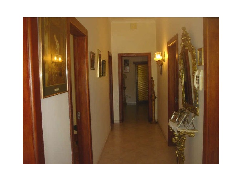 54 Walker Avenue, Haberfield NSW 2045