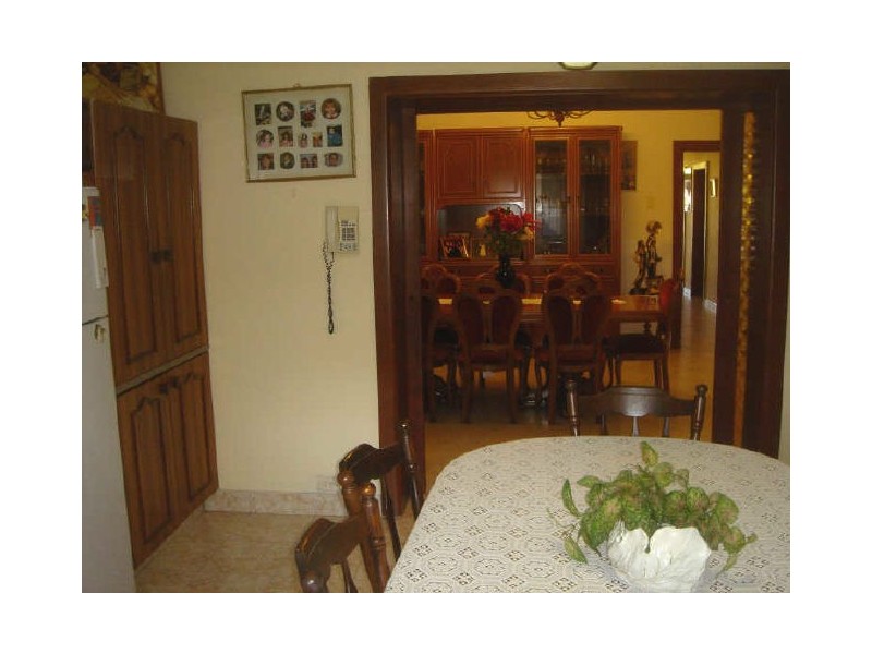 54 Walker Avenue, Haberfield NSW 2045