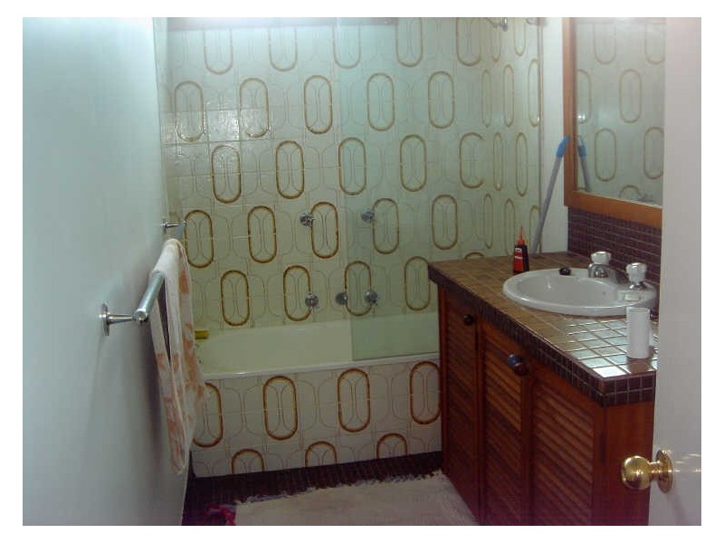 83 Rowntree Street, Birchgrove NSW 2041
