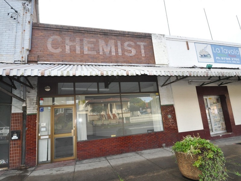 219 Ramsay Street, Haberfield NSW 2045