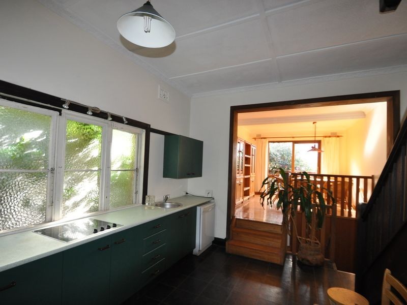 219 Ramsay Street, Haberfield NSW 2045