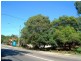 1/73 Frederick Street, Ashfield NSW 2131