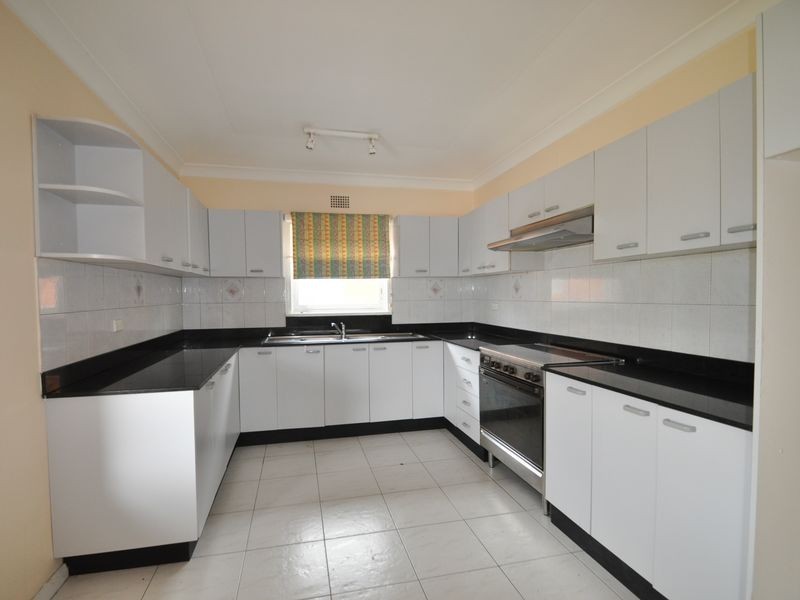 251 Ramsay Street, Haberfield NSW 2045