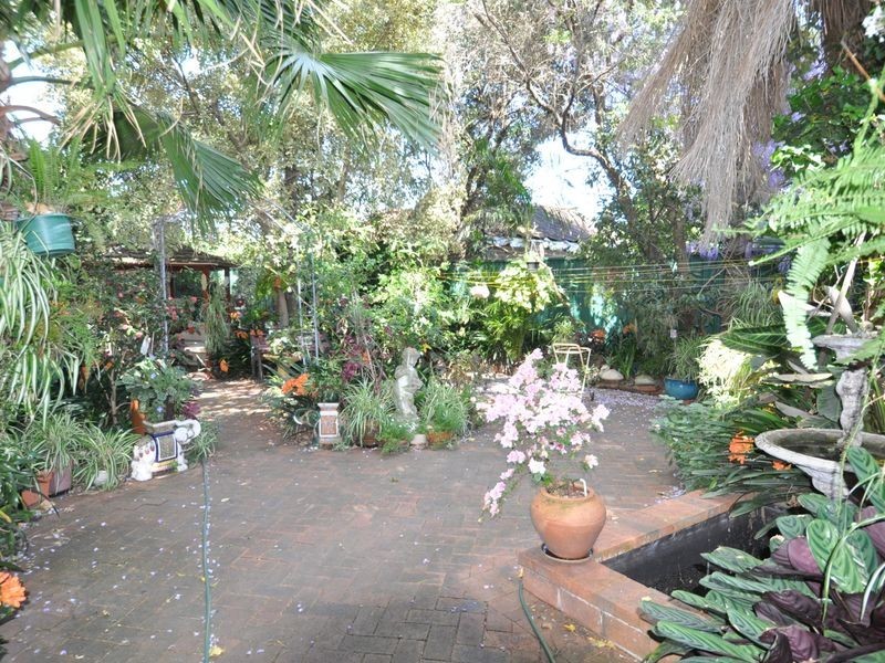 24 Chelmsford Avenue, Croydon NSW 2132