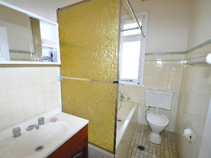 100 Waratah Street, Haberfield NSW 2045