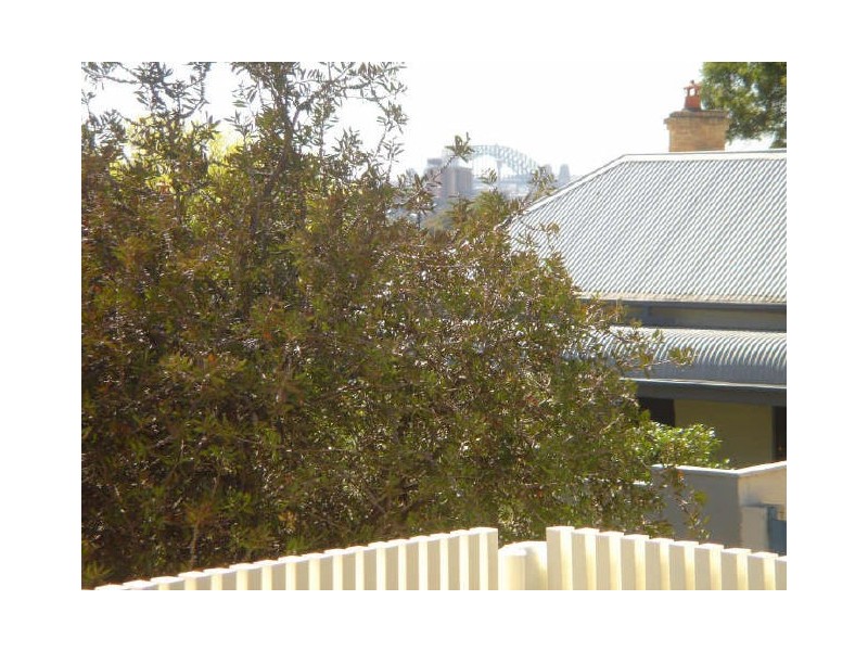 44 Starling Street, Lilyfield NSW 2040