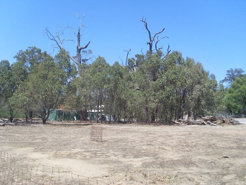 169 Tamma Road, Bakers Hill WA 6562