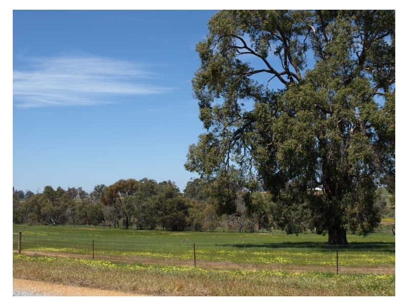 Lot 340 Gleeson Hill Road, Bakers Hill WA 6562