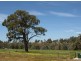 Lot 344 Gleeson Hill Road, Bakers Hill WA 6562