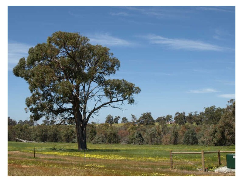 Lot 344 Gleeson Hill Road, Bakers Hill WA 6562