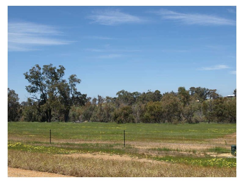 Lot 343 Gleeson Hill Road, Bakers Hill WA 6562