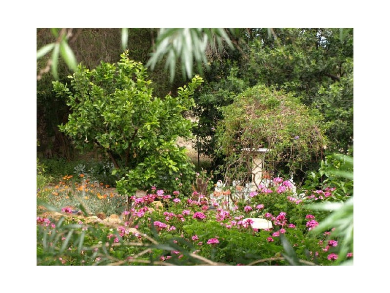 16 Berry Brow Road, Bakers Hill WA 6562