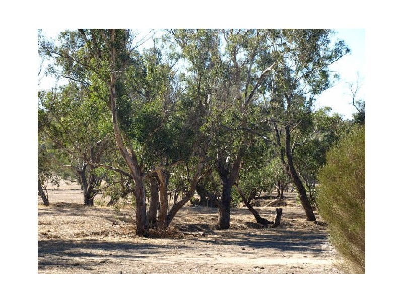 129 Spencers Brook Road, Clackline WA 6564