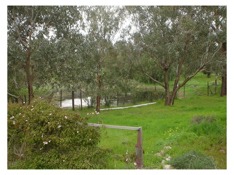 117 Gooch Road, Clackline WA 6564