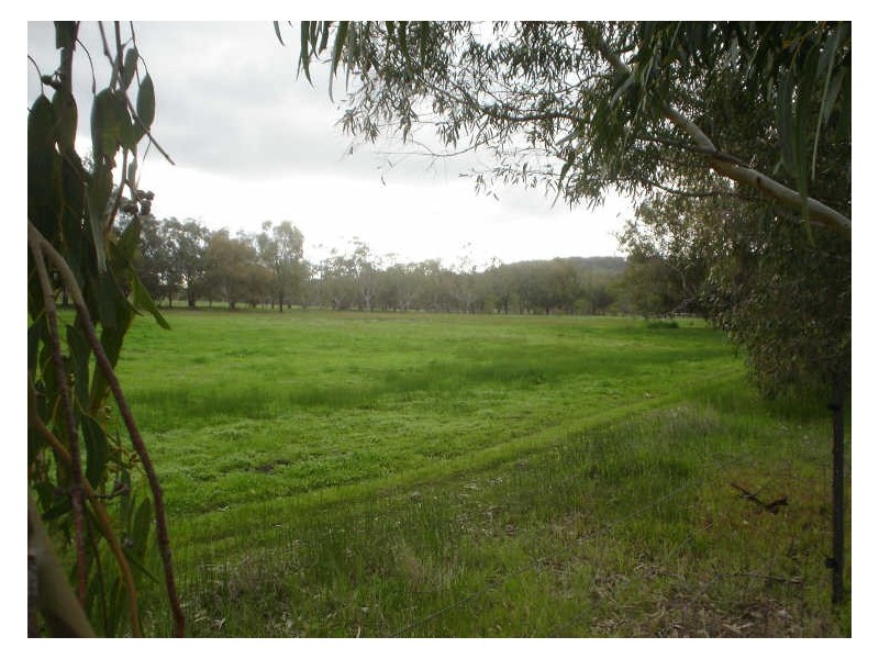 117 Gooch Road, Clackline WA 6564