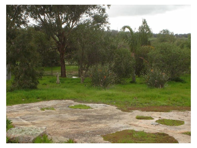 117 Gooch Road, Clackline WA 6564