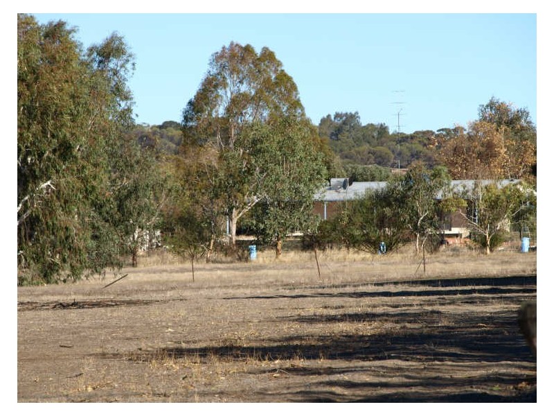 117 Gooch Road, Clackline WA 6564