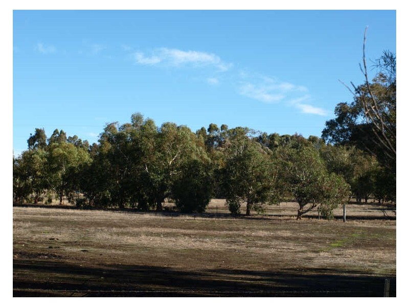 117 Gooch Road, Clackline WA 6564