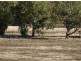 117 Gooch Road, Clackline WA 6564