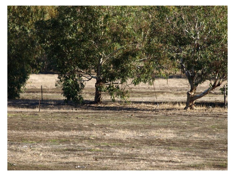 117 Gooch Road, Clackline WA 6564