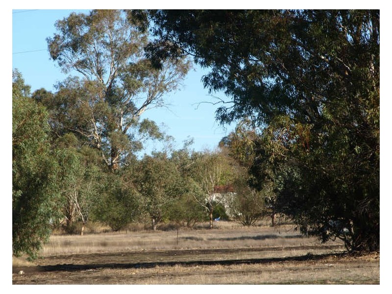 117 Gooch Road, Clackline WA 6564
