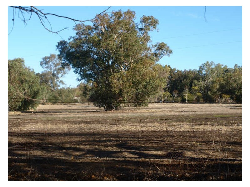 117 Gooch Road, Clackline WA 6564