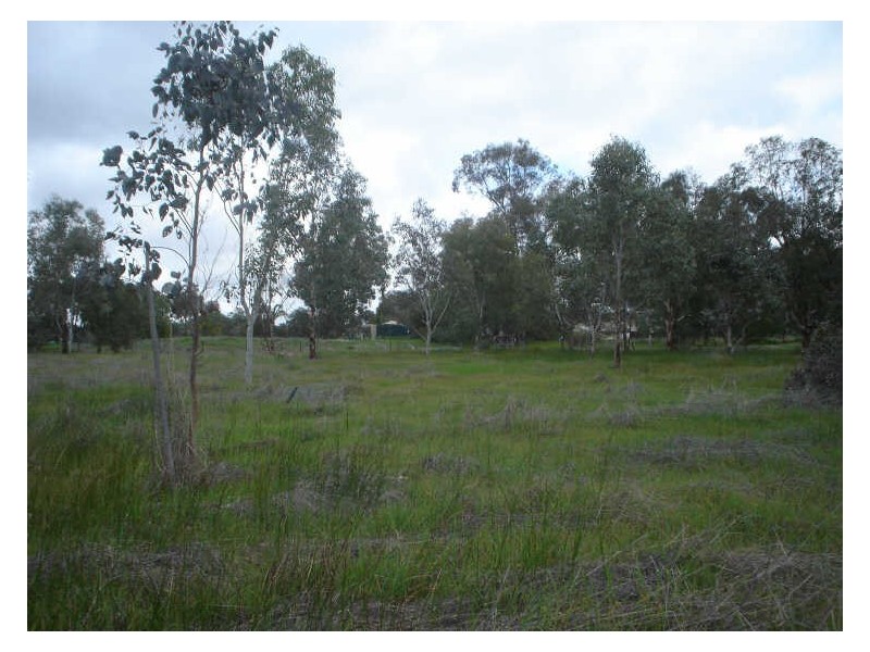 117 Gooch Road, Clackline WA 6564