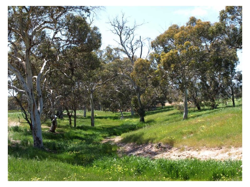 40 Norwood Road, Clackline WA 6564