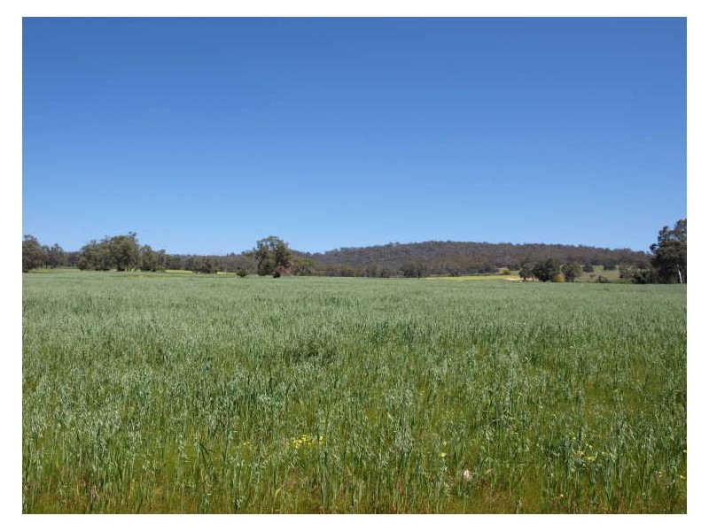 40 Norwood Road, Clackline WA 6564