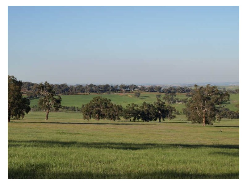 302 Smith Road, Clackline WA 6564