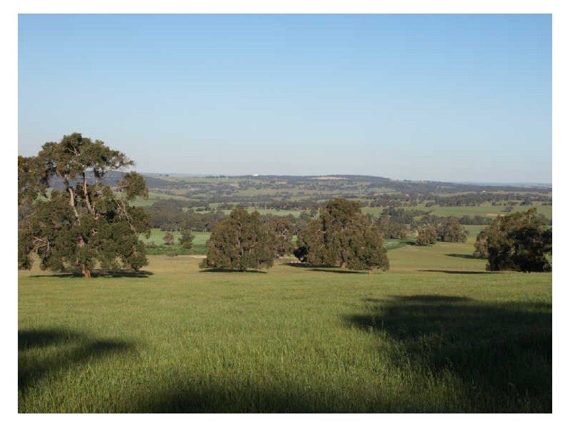 302 Smith Road, Clackline WA 6564