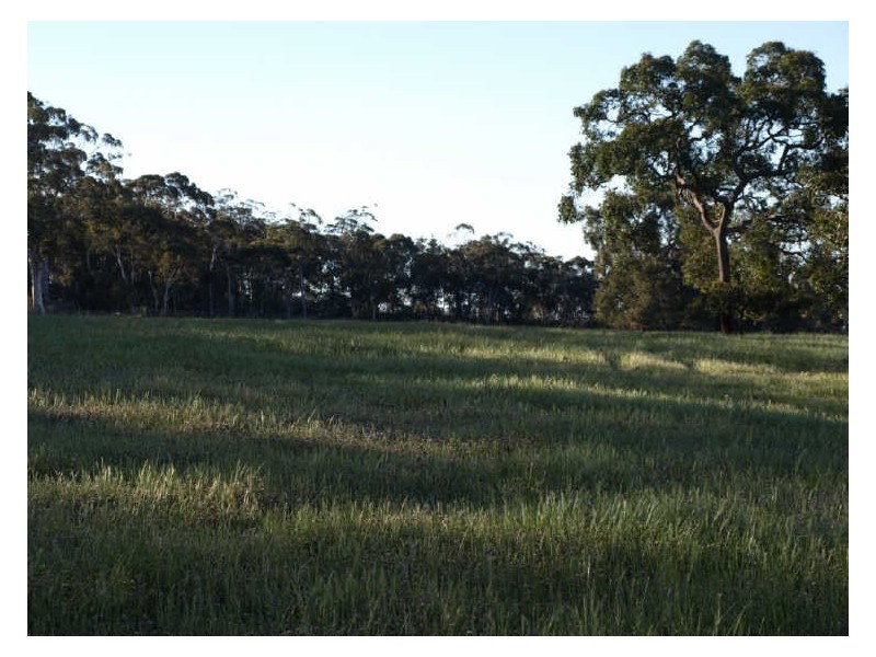 302 Smith Road, Clackline WA 6564