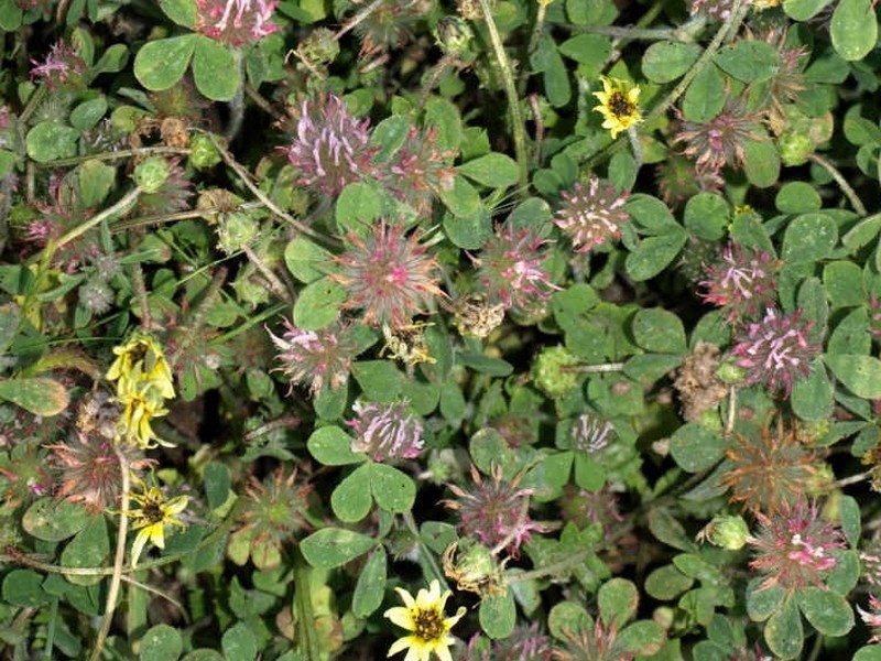 302 Smith Road, Clackline WA 6564