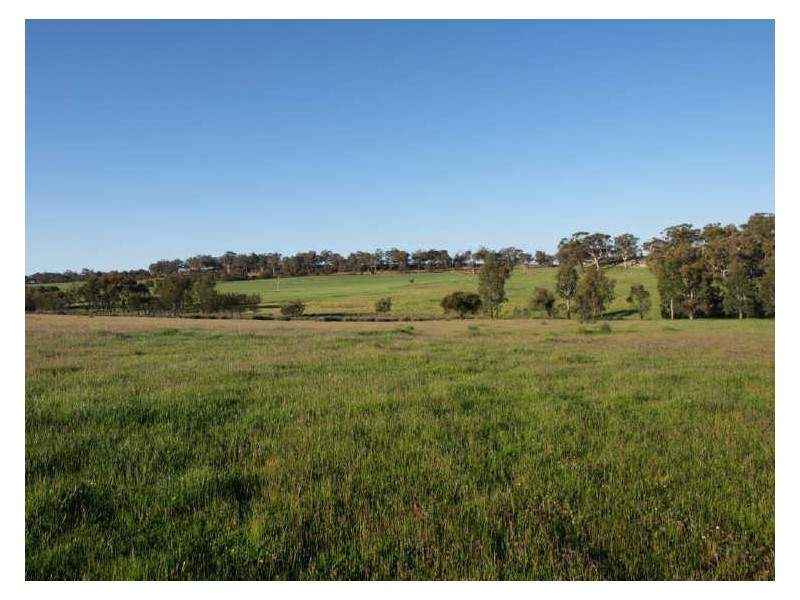 302 Smith Road, Clackline WA 6564