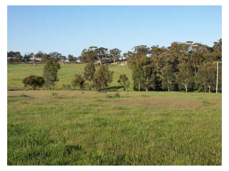 302 Smith Road, Clackline WA 6564