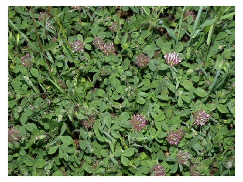 302 Smith Road, Clackline WA 6564