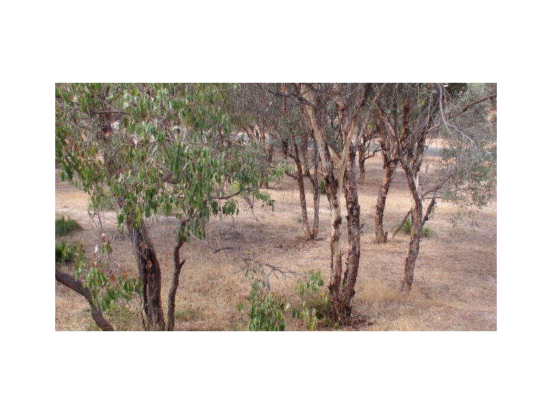 18 Kimberley Road, Clackline WA 6564