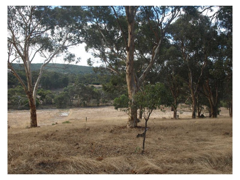 Lot 24, 65 Werribee Road, Wundowie WA 6560