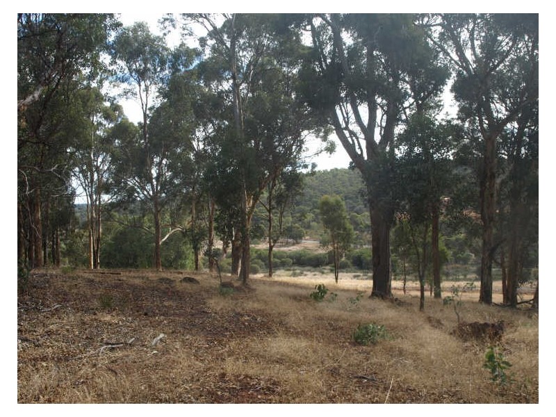 Lot 24, 65 Werribee Road, Wundowie WA 6560