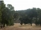 Lot 24, 65 Werribee Road, Wundowie WA 6560