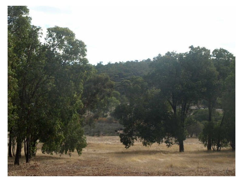 Lot 24, 65 Werribee Road, Wundowie WA 6560
