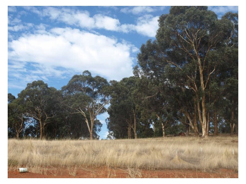 Lot 24, 65 Werribee Road, Wundowie WA 6560