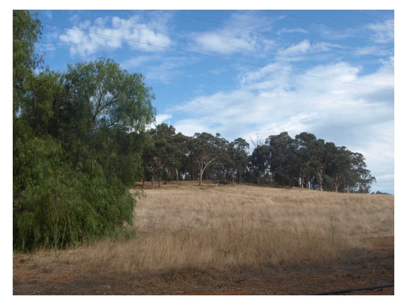 Lot 24, 65 Werribee Road, Wundowie WA 6560