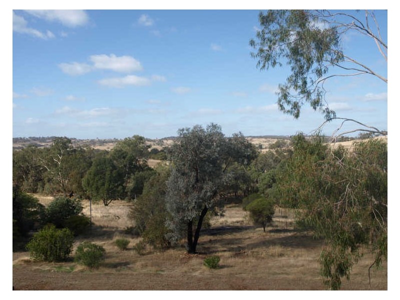 108 Spencers Brook Road, Clackline WA 6564